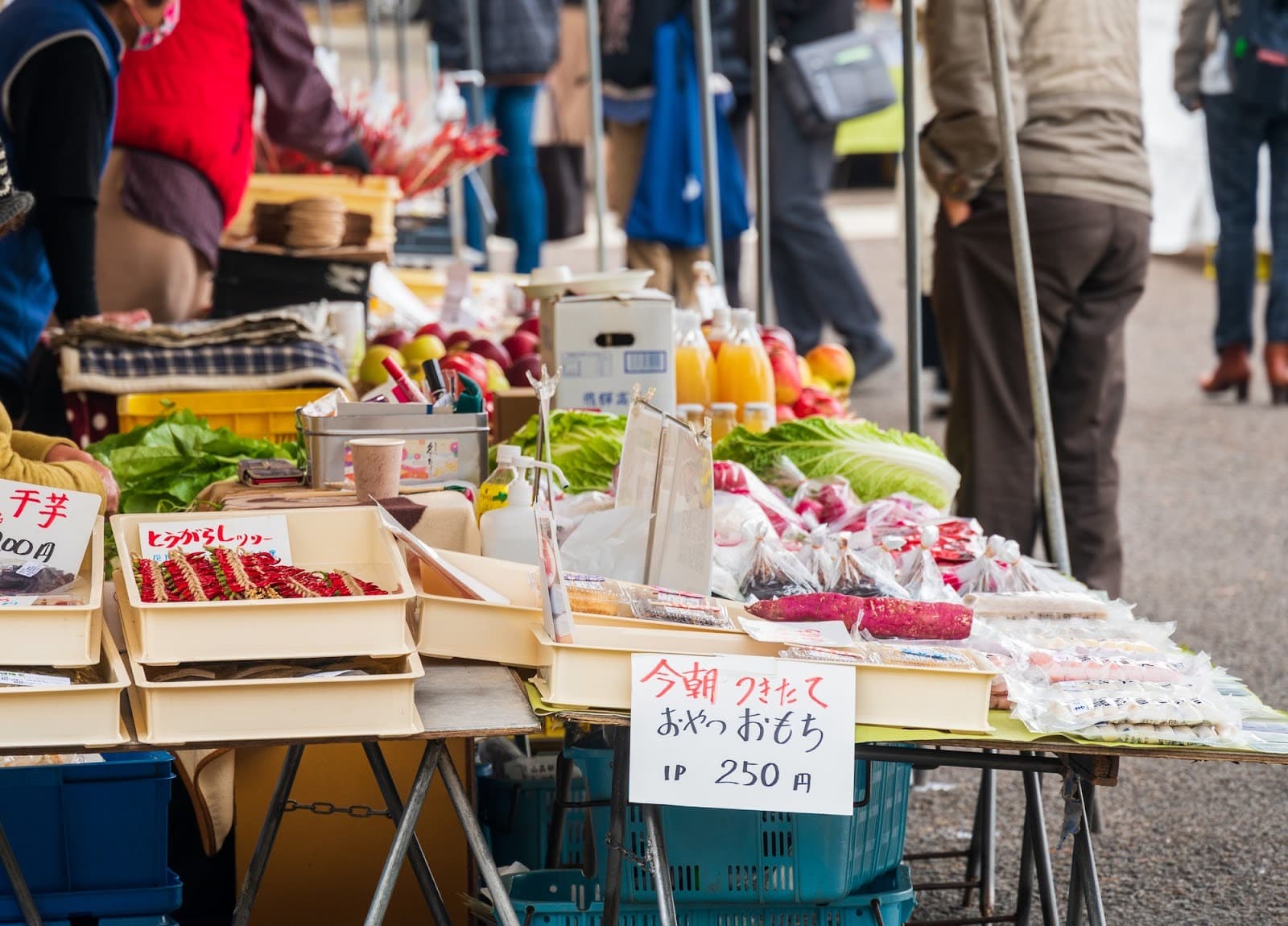 일본 전국과 3대 아침 시장 특집｜해산물 요리와 지역 주민과의 교류를 즐겨요