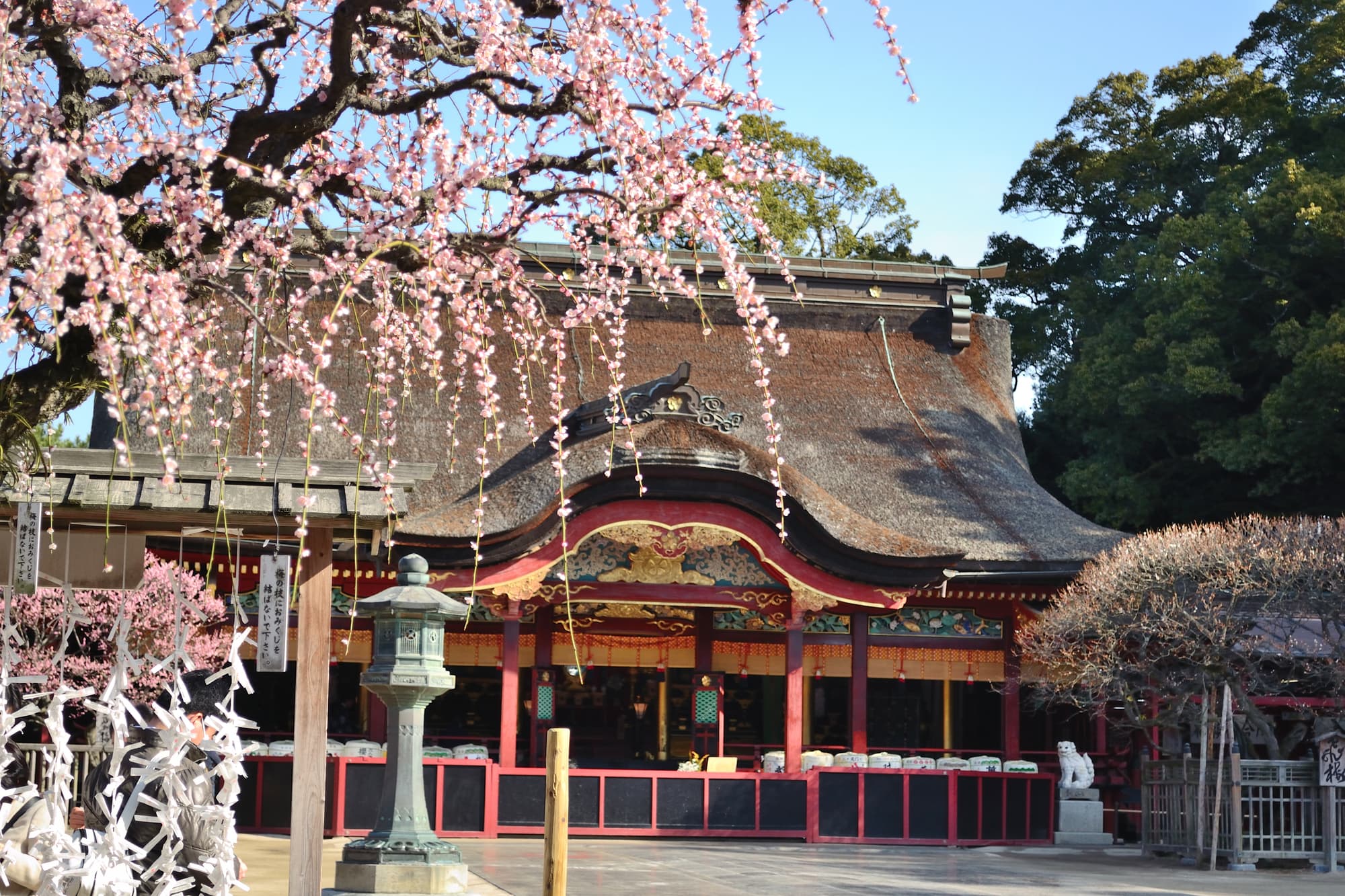 【2026】太宰府天滿宮完全攻略！交通方式、御守、必看景點和地道美食一次搞定