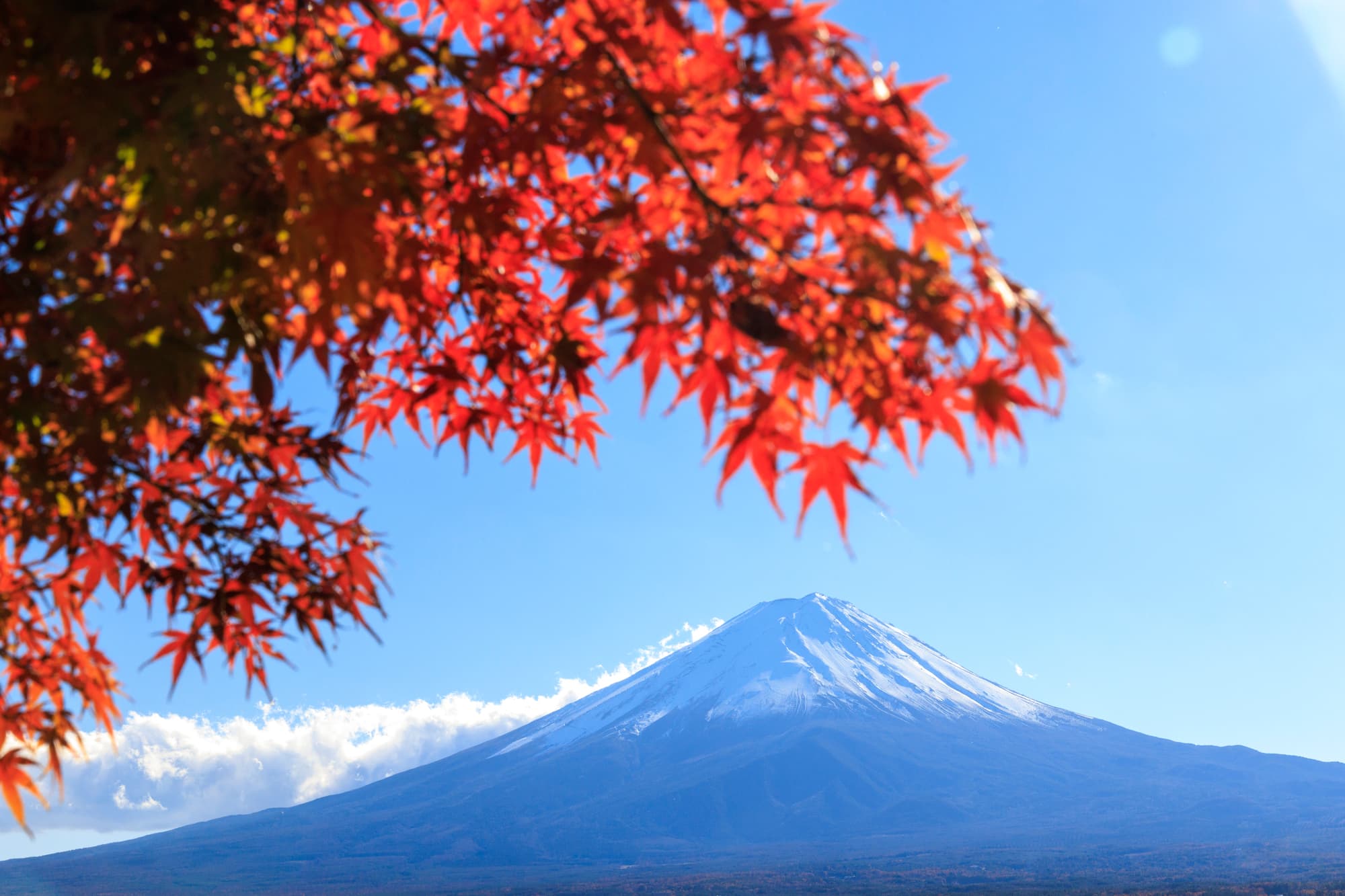 【2026】日本秋季旅遊景點精選|人氣觀光地與實用資訊一次看