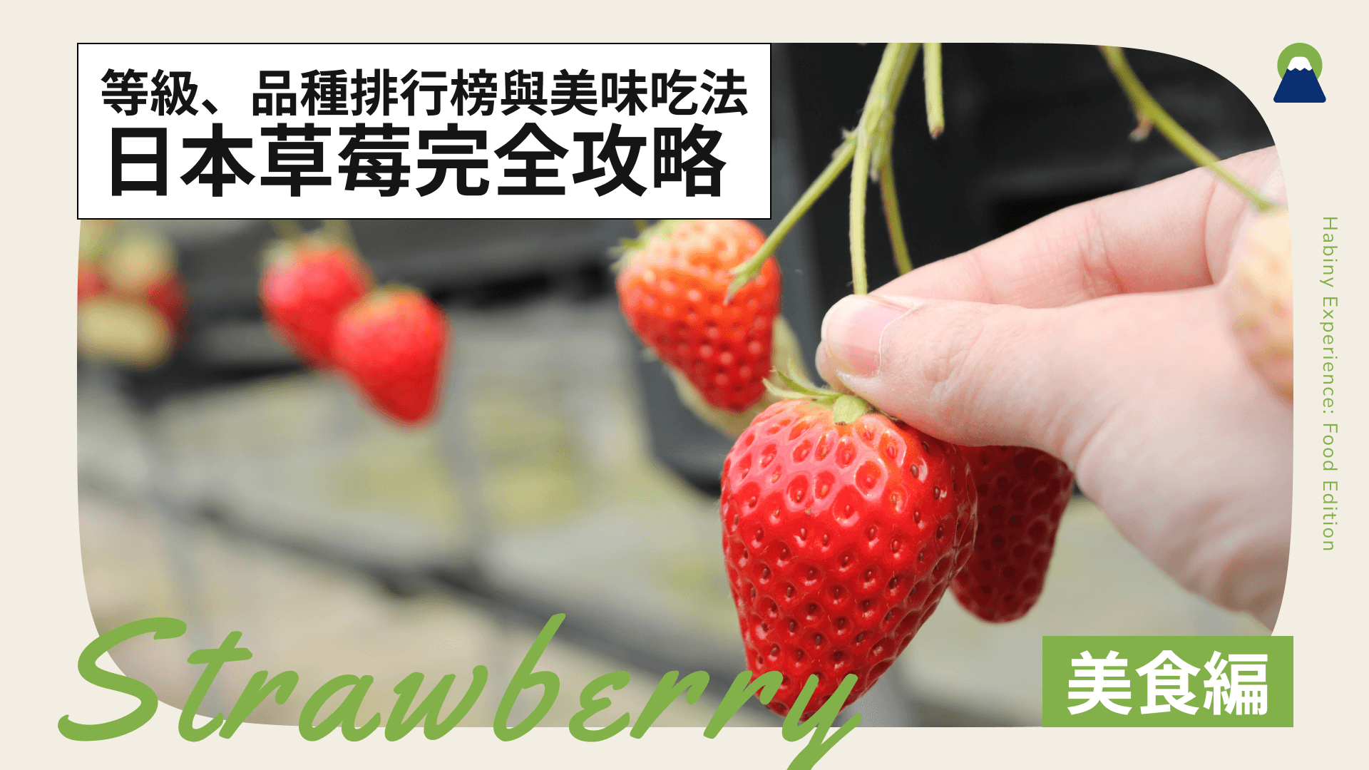日本草莓完全攻略!等級、品種排行榜與美味吃法