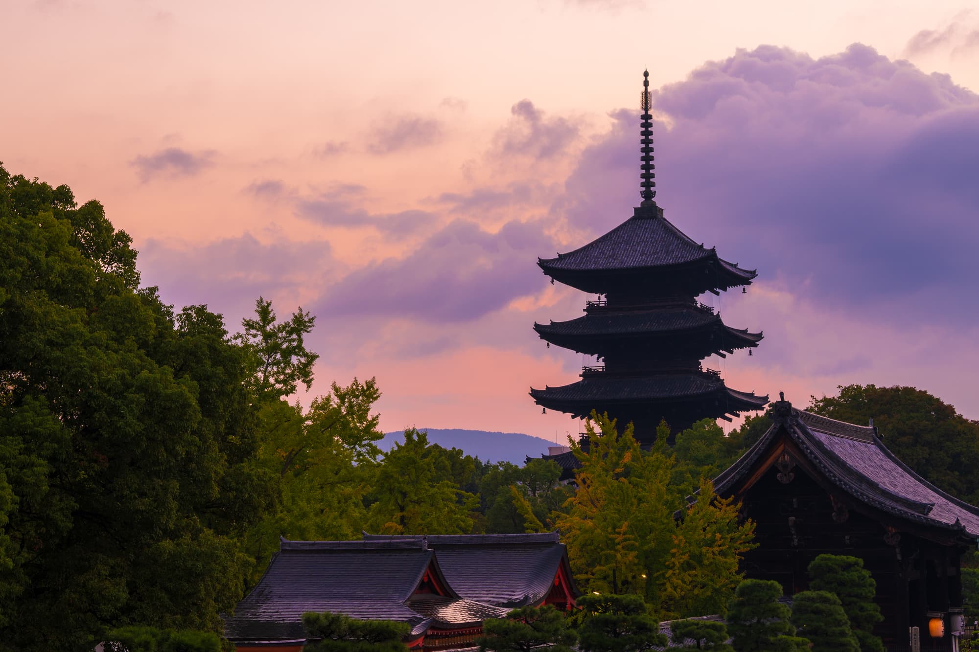 日本五重塔是什麼?京都東寺最高建築全解讀