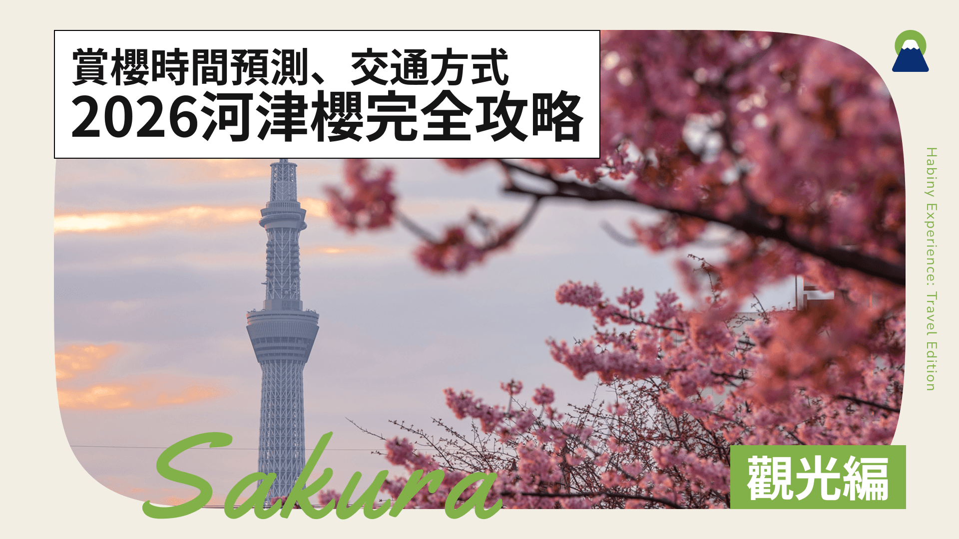 2026河津櫻完全攻略|賞櫻時間預測、交通方式、伊豆行程推薦一次掌握
